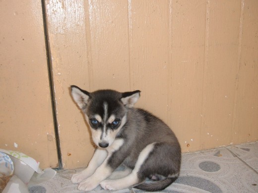 estoy un poco asustada
